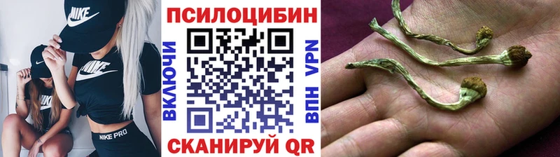 Галлюциногенные грибы мицелий  дарк нет наркотические препараты  Новотроицк 